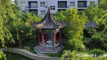 公司一角